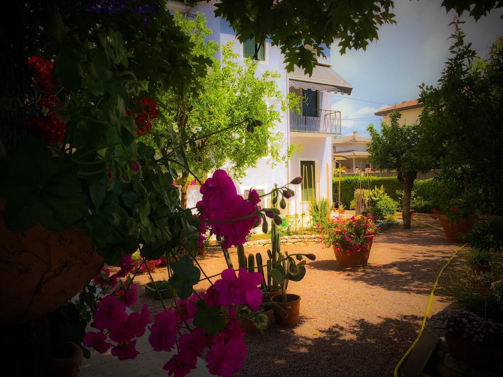 Bed & Breakfast Don Carlos San Martino di Lupari Zewnętrze zdjęcie